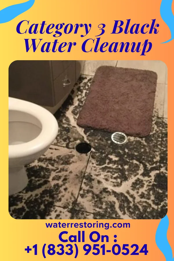 Category 3 Black Water Cleanup in Waikoloa Village, HI