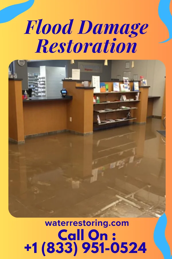 Flood Damage Restoration in Waikoloa Village, HI